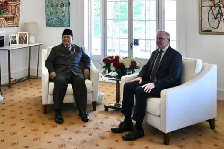 Prabowo-Albanese Bahas Penguatan Hubungan Indonesia dan Australia