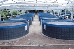 Dari Sungai ke Kolam Bioflok, Pakarti Gunungkidul Raup Bantuan Rp 215 Juta untuk Budidaya Ikan