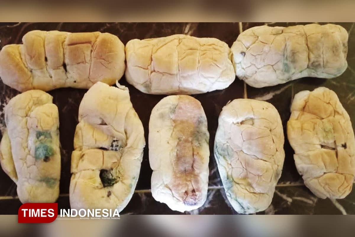 Temuan Roti Berjamur di Program MBG, Guru Besar UGM Ingatkan Risiko Kesehatan bagi Anak