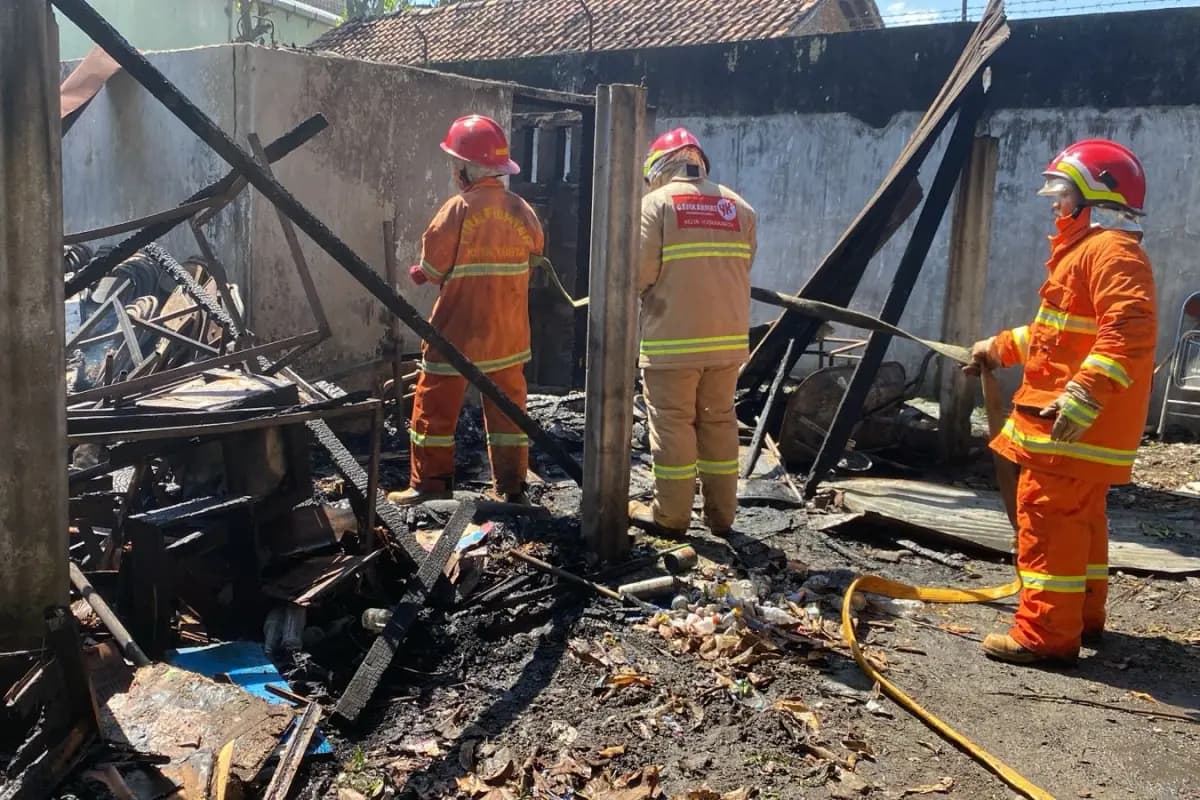 Libur Lebaran 2026, Damkar Jogja Tangani 19 Insiden: Didominasi Evakuasi Ular dan Kebakaran Rumah